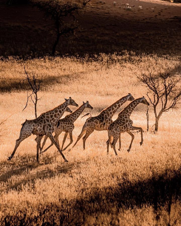 Bagatelle Kalahari Game Ranch Villa Hardap ภายนอก รูปภาพ