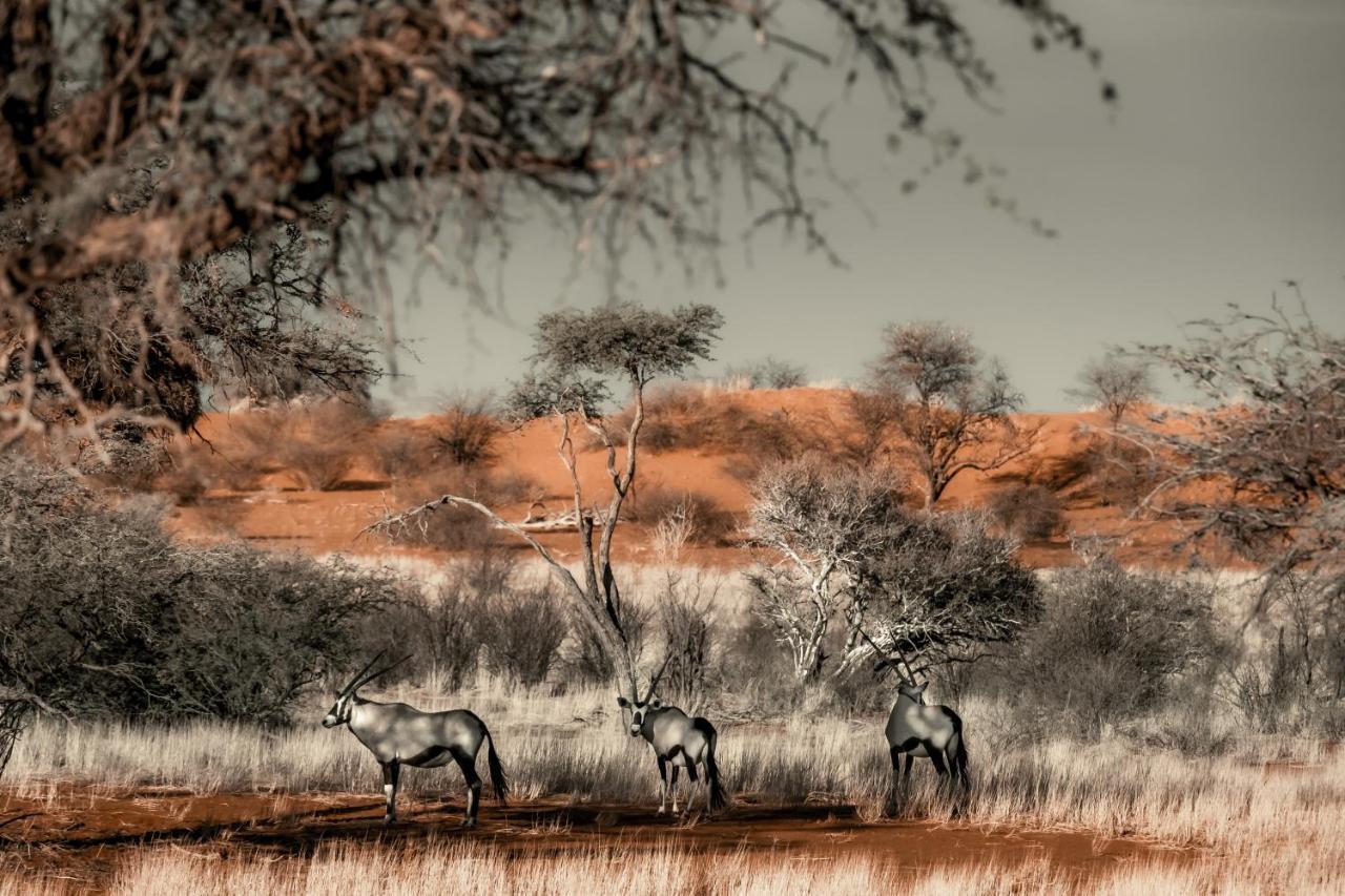 Bagatelle Kalahari Game Ranch Villa Hardap ภายนอก รูปภาพ
