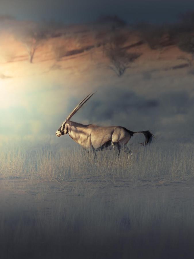 Bagatelle Kalahari Game Ranch Villa Hardap ภายนอก รูปภาพ
