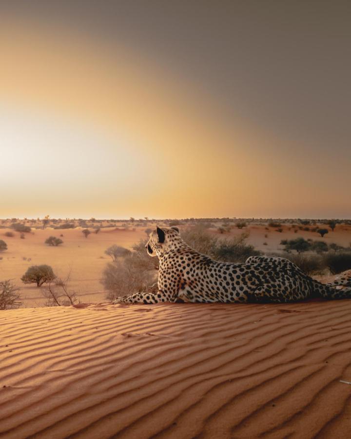 Bagatelle Kalahari Game Ranch Villa Hardap ภายนอก รูปภาพ