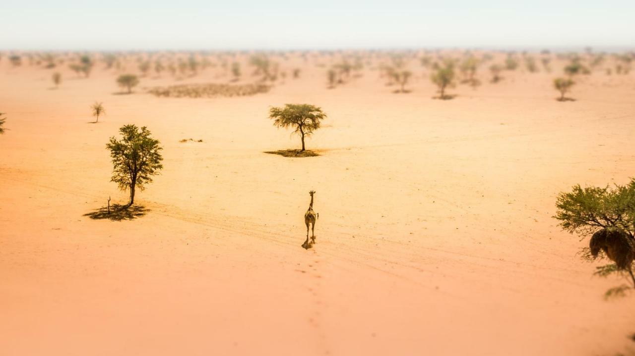 Bagatelle Kalahari Game Ranch Villa Hardap ภายนอก รูปภาพ