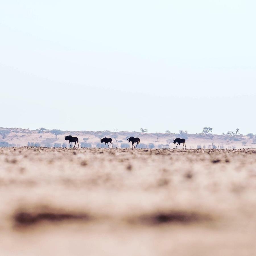 Bagatelle Kalahari Game Ranch Villa Hardap ภายนอก รูปภาพ