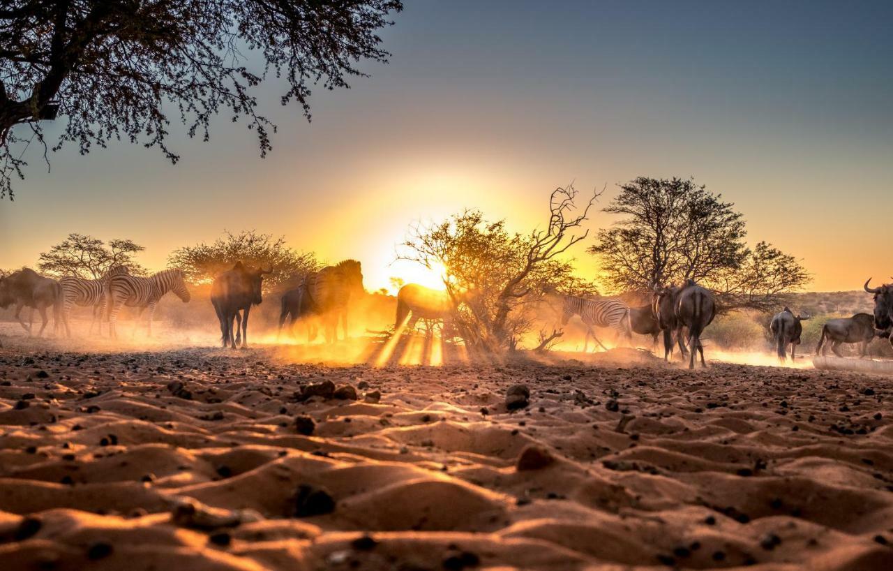 Bagatelle Kalahari Game Ranch Villa Hardap ภายนอก รูปภาพ