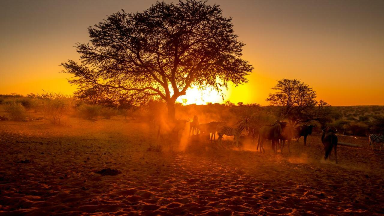 Bagatelle Kalahari Game Ranch Villa Hardap ภายนอก รูปภาพ