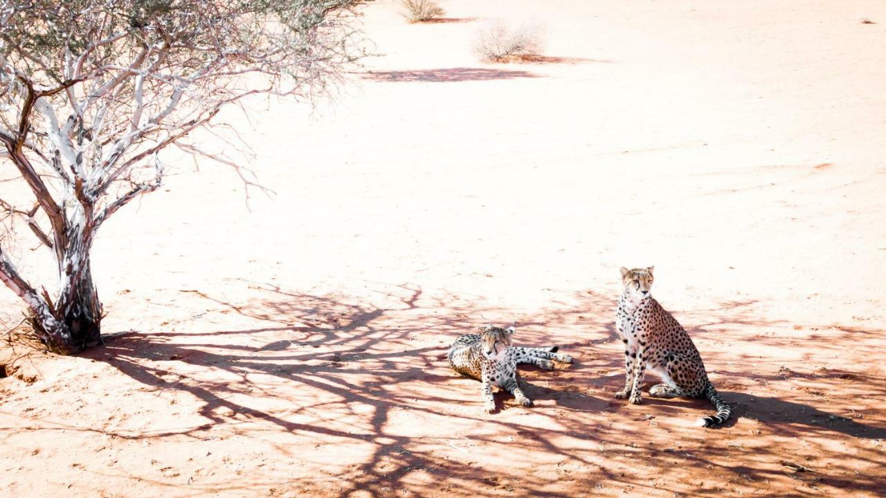 Bagatelle Kalahari Game Ranch Villa Hardap ภายนอก รูปภาพ